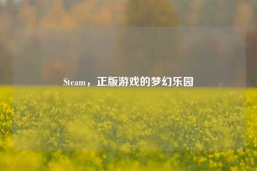Steam,正版游戏的梦幻乐园
