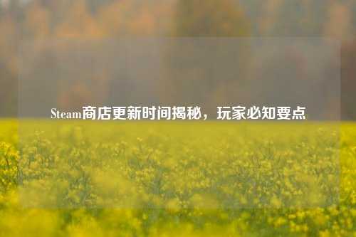 Steam商店更新时间揭秘,玩家必知要点