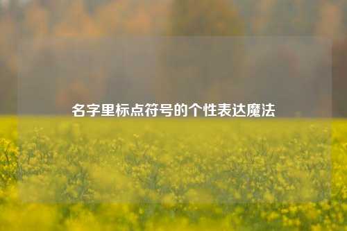 名字里标点符号的个性表达魔法
