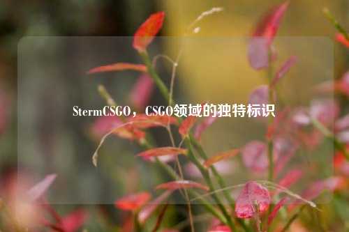 StermCSGO,CSGO领域的独特标识