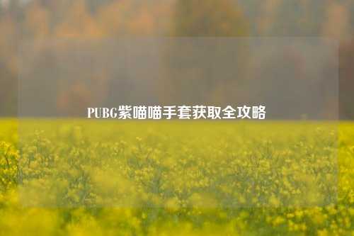 PUBG紫喵喵手套获取全攻略