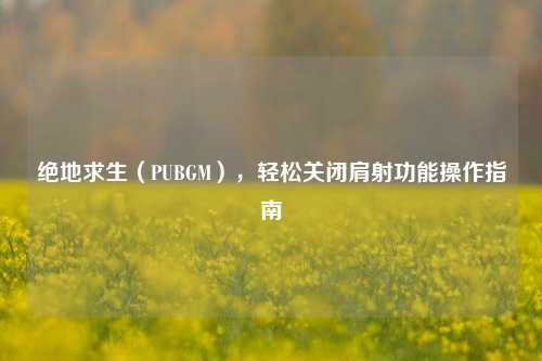绝地求生(PUBGM),轻松关闭肩射功能操作指南