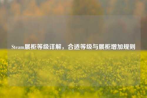 Steam展柜等级详解,合适等级与展柜增加规则
