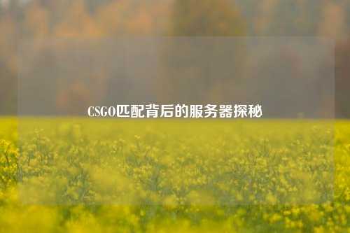 CSGO匹配背后的服务器探秘