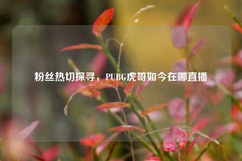 粉丝热切探寻,PUBG虎哥如今在哪直播