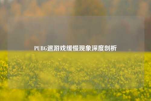 PUBG退游戏缓慢现象深度剖析