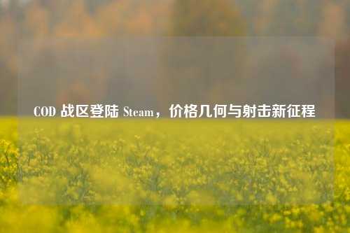 COD 战区登陆 Steam，价格几何与射击新征程