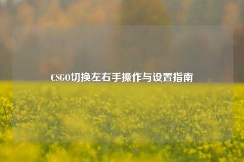 CSGO切换左右手操作与设置指南