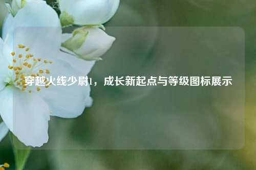 穿越火线少尉1，成长新起点与等级图标展示
