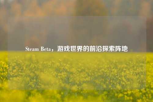 Steam Beta,游戏世界的前沿探索阵地