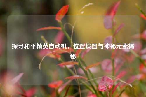 探寻和平精英自动机,位置设置与神秘元素揭秘