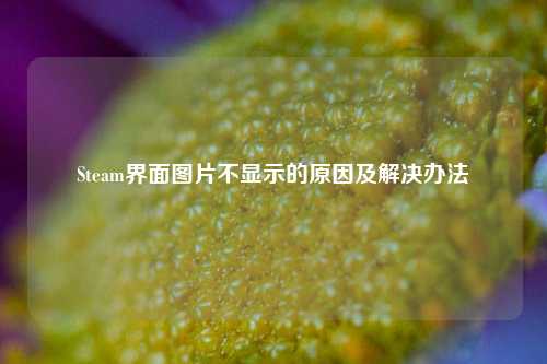 Steam界面图片不显示的原因及解决办法