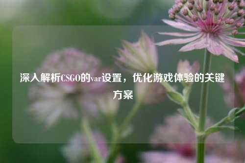 深入解析CSGO的var设置,优化游戏体验的关键方案