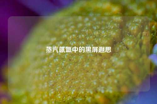 蒸汽氤氲中的黑屏遐思