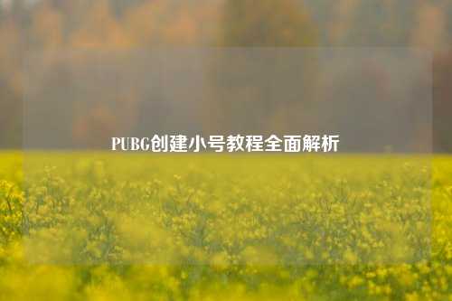 PUBG创建小号教程全面解析