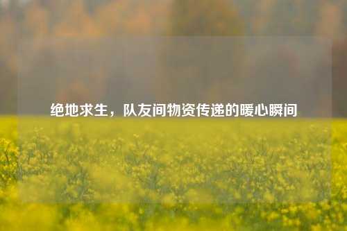 绝地求生,队友间物资传递的暖心瞬间