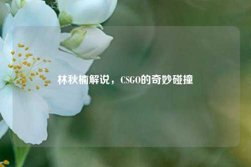 林秋楠解说，CSGO的奇妙碰撞