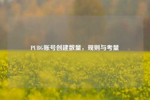 PUBG账号创建数量，规则与考量