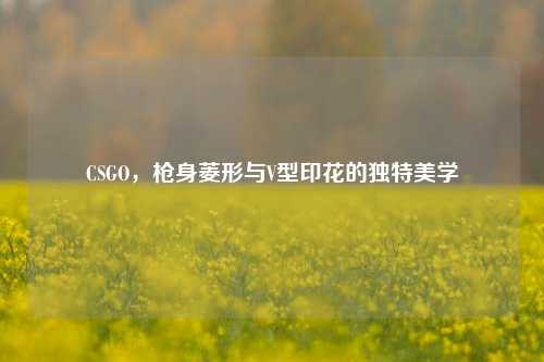 CSGO,枪身菱形与V型印花的独特美学