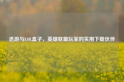 迅游与LOL盒子，英雄联盟玩家的实用下载伙伴