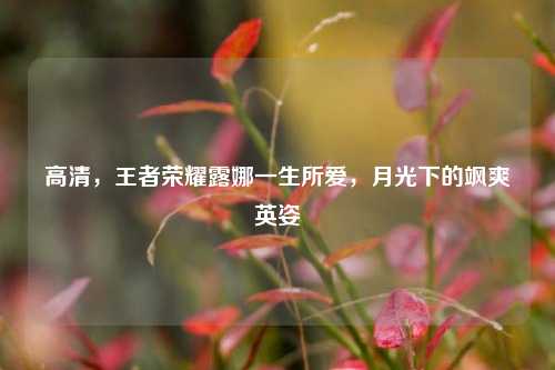 高清，王者荣耀露娜一生所爱，月光下的飒爽英姿