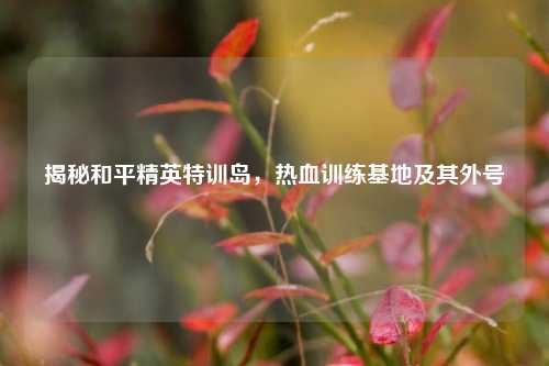 揭秘和平精英特训岛,热血训练基地及其外号