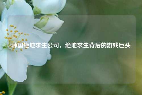 韩国绝地求生公司，绝地求生背后的游戏巨头