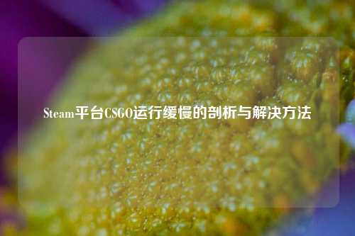 Steam平台CSGO运行缓慢的剖析与解决方法