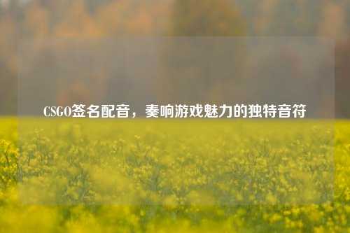 CSGO签名配音,奏响游戏魅力的独特音符