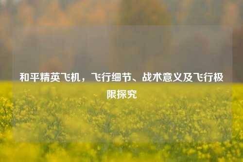 和平精英飞机，飞行细节、战术意义及飞行极限探究