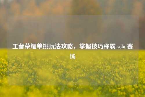 王者荣耀单挑玩法攻略，掌握技巧称霸 solo 赛场
