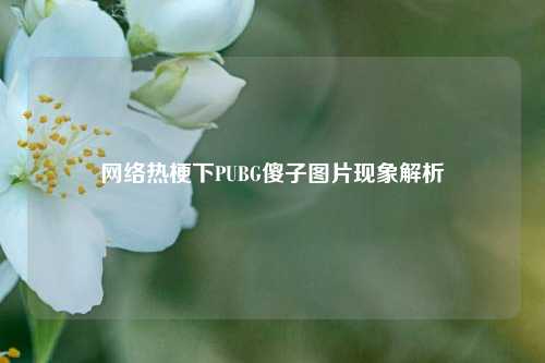 网络热梗下PUBG傻子图片现象解析