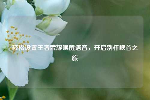 轻松设置王者荣耀唤醒语音,开启别样峡谷之旅