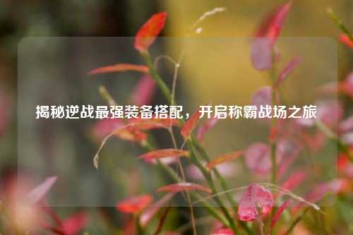 揭秘逆战最强装备搭配，开启称霸战场之旅