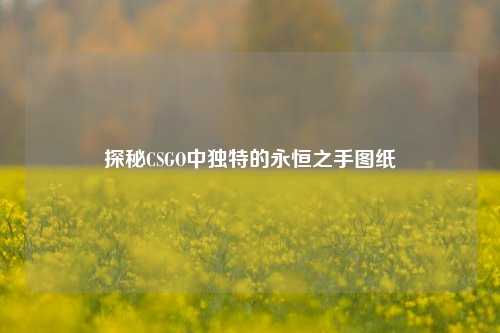探秘CSGO中独特的永恒之手图纸