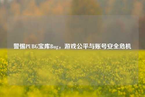 警惕PUBG宝库Bug，游戏公平与账号安全危机