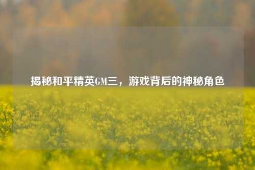 揭秘和平精英GM三,游戏背后的神秘角色