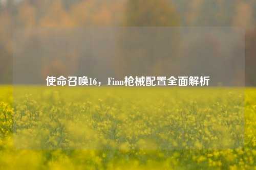 使命召唤16，Finn枪械配置全面解析