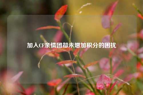 加入CF亲情团却未增加积分的困扰