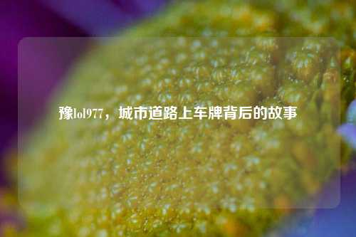 豫lol977,城市道路上车牌背后的故事
