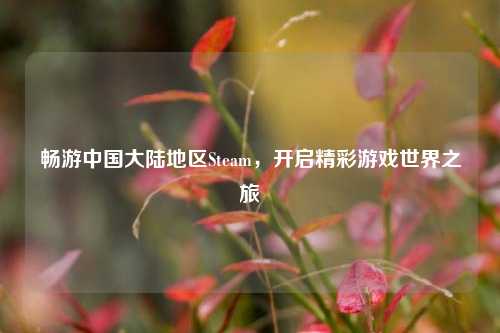 畅游中国大陆地区Steam，开启精彩游戏世界之旅