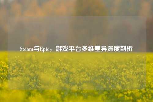 Steam与Epic，游戏平台多维差异深度剖析