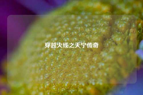 穿越火线之天宁传奇
