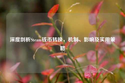 深度剖析Steam钱币转换,机制、影响及实用策略