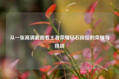 从一张高清截图看王者荣耀钻石段位的荣耀与挑战