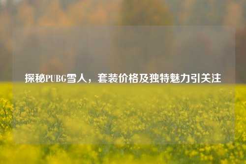 探秘PUBG雪人,套装价格及独特魅力引关注