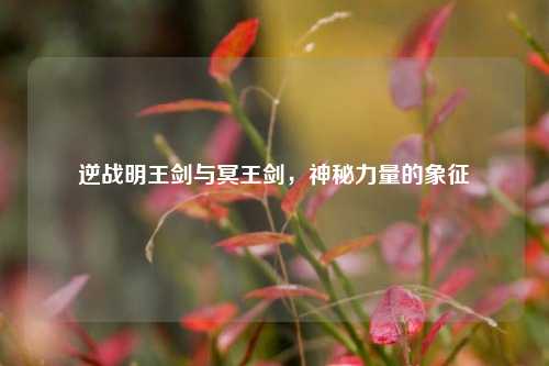 逆战明王剑与冥王剑,神秘力量的象征