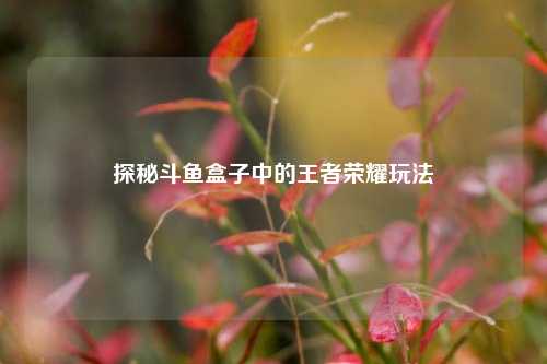探秘斗鱼盒子中的王者荣耀玩法