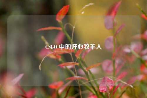 CSGO 中的好心牧羊人