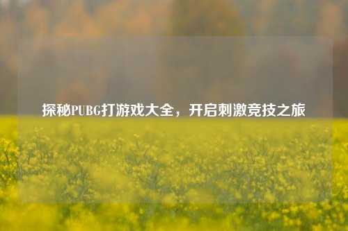 探秘PUBG打游戏大全，开启刺激竞技之旅